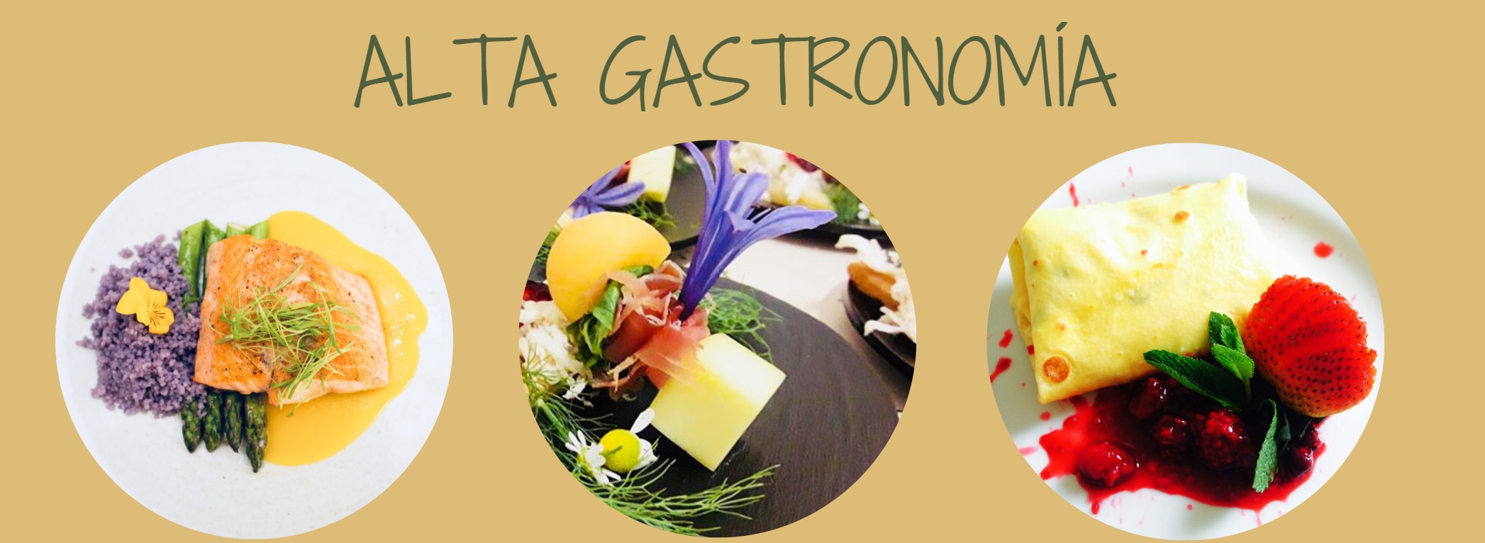 Alta Gastronomia